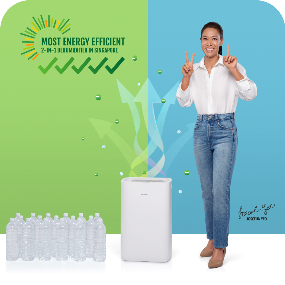 home dehumidifier for dubai abu dhabi saudi arabia