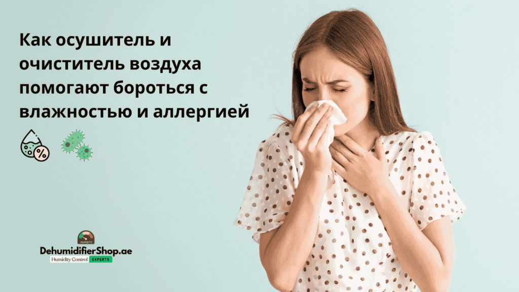 Как осушитель и очиститель воздуха помогают бороться с влажностью и аллергией