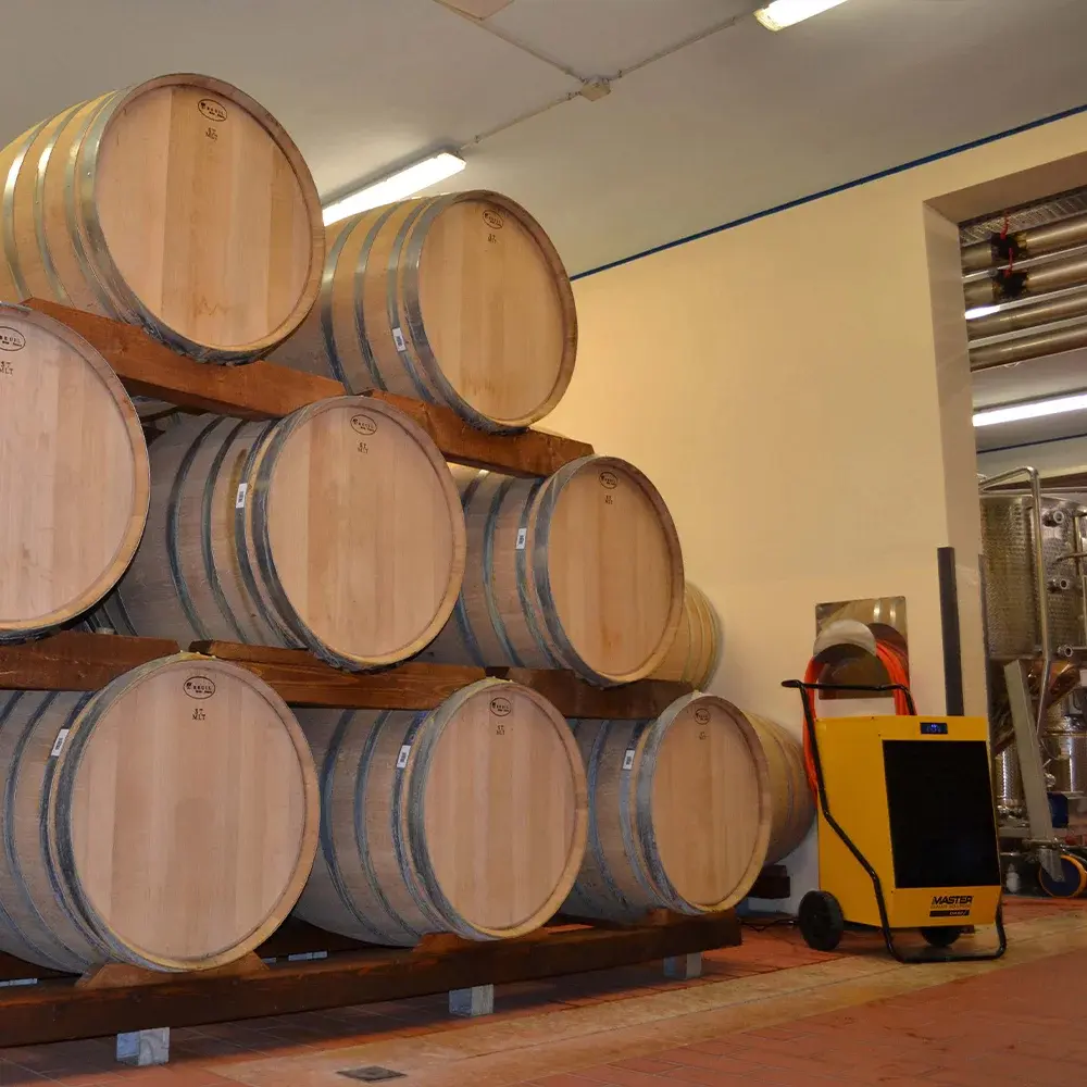 Master DH 44 – condensation dehumidifier | 41L/Day